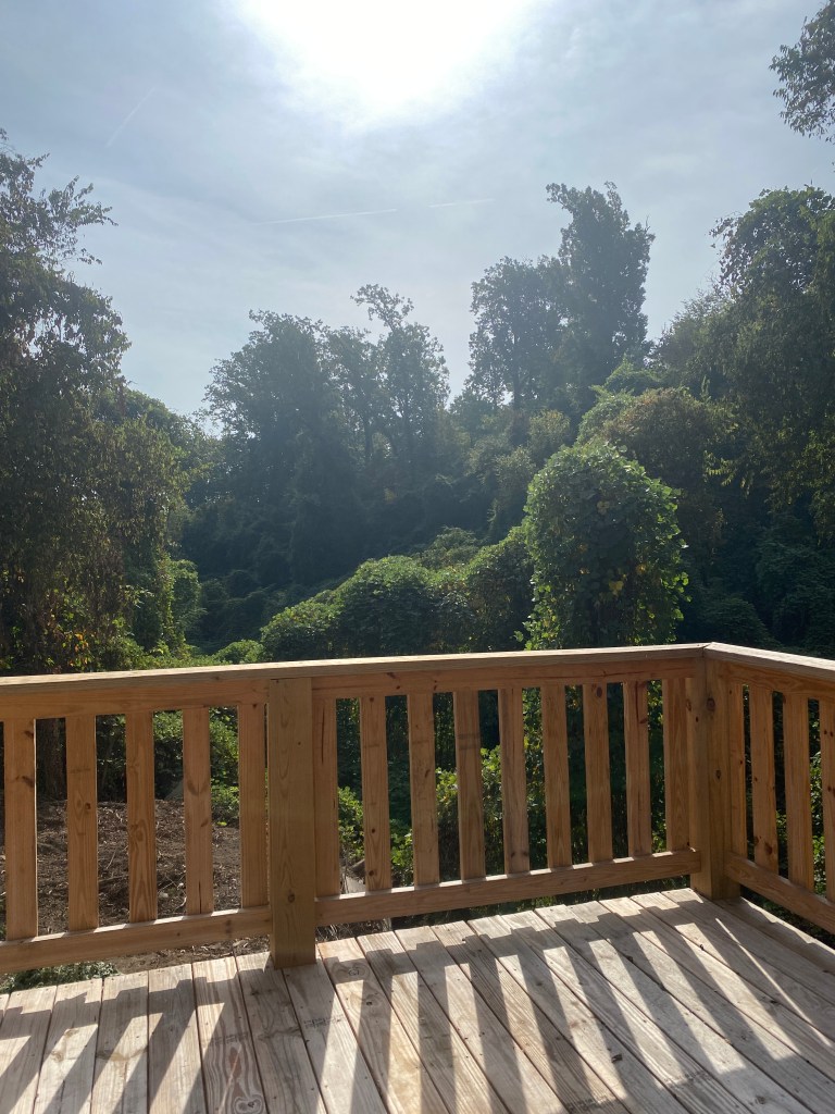 View from finished back porch